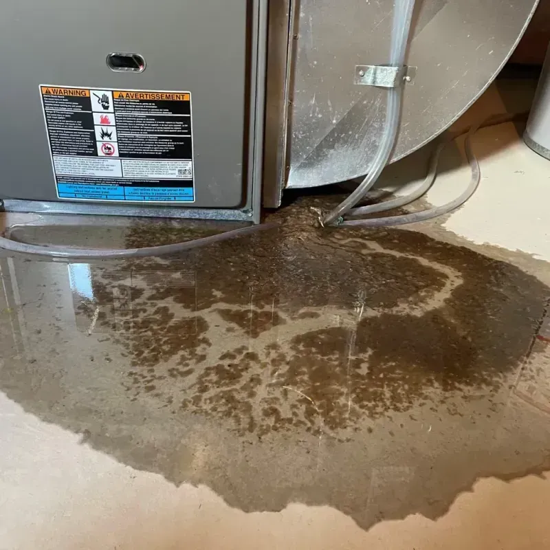 Appliance Leak Cleanup in Haskins, OH